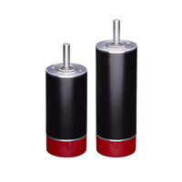 RPX32: 32 mm Brushless DC Motor