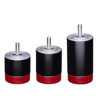 RPX40: 40 mm Brushless DC Motor